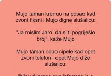 Vic dana: Zvoni fiksni telefon