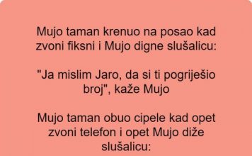 Vic dana: Zvoni fiksni telefon