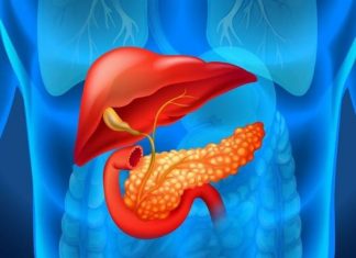 Ova hrana je “smrt” za pankreas: 5 osnovnih pravila ishrane posle 50. godine, evo šta nikako ne valja jesti