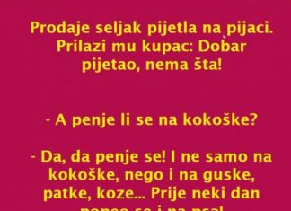 VIC DANA: Pijetao na pijaci
