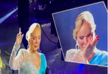 Snimljeno: Ovo je trenutak kada je povrijeđena Lepa Brena u Zagrebu!