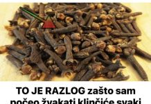 TO JE RAZL0G ZAŠTO SAM POČEO ŽVAKATI KLINČIĆE SVAKI DAN: MORAM ZAHVALITI MAJČINOJ LJEKARNICI NA OVOM SJAJNOM SAVJETU