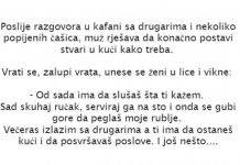 VIC DANA: Muž nakon kafane dolazi kući..