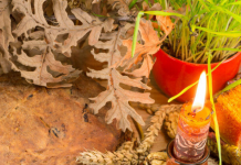 Sutra je Badnji dan: Svi koji jedu ovu biljku veruje se imaće puno novca, ako 1 običaj zanemarite, maler će vas pratiti