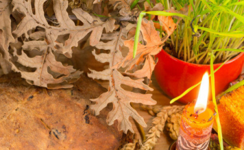 Sutra je Badnji dan: Svi koji jedu ovu biljku veruje se imaće puno novca, ako 1 običaj zanemarite, maler će vas pratiti