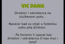 VIC DANA: Direktor i sekretarica na službenom putu