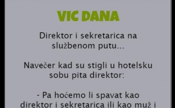 VIC DANA: Direktor i sekretarica na službenom putu