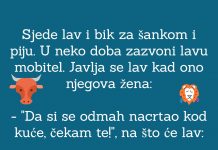 VIC DANA: Lav i Bik