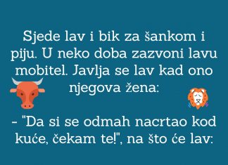 VIC DANA: Lav i Bik