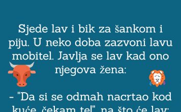 VIC DANA: Lav i Bik