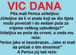 VIC DANA: Pita mali Perica učiteljicu