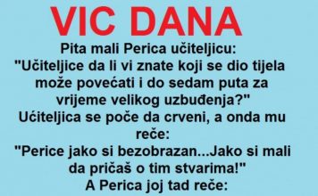 VIC DANA: Pita mali Perica učiteljicu
