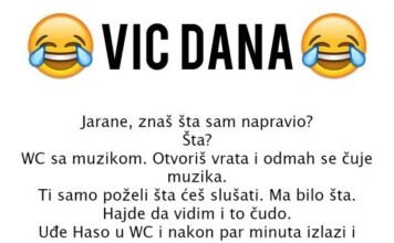 VIC DANA: WC S MUZIKOM