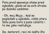 VIC DANA: Fata se ogleda