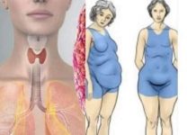 Štitnjača igra ključnu ulogu u regulaciji hormona i održavanju zdrave težine, bilo da se radi o pretjeranoj mršavosti ili debljini