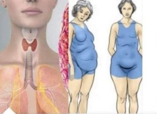 Štitnjača igra ključnu ulogu u regulaciji hormona i održavanju zdrave težine, bilo da se radi o pretjeranoj mršavosti ili debljini