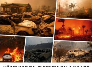 UŽIVO KAO DA JE BOMBA PALA NA LOS ANĐELES! Bajdenov sin ostao bez kuće, raste broj mrtvih u požarima, šteta 50 milijardi $, Pentagon šalje vojsku (FOTO, VIDEO)