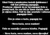 VIC DANA: Mujo i papagaj
