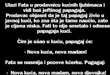 VIC DANA: Mujo i papagaj