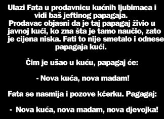 VIC DANA: Mujo i papagaj
