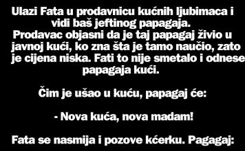 VIC DANA: Mujo i papagaj