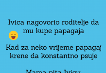 VIC DANA: Pažljiv papagaj