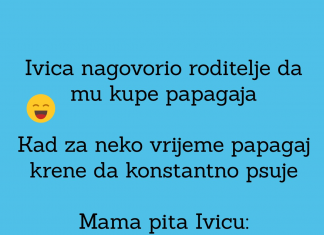 VIC DANA: Pažljiv papagaj