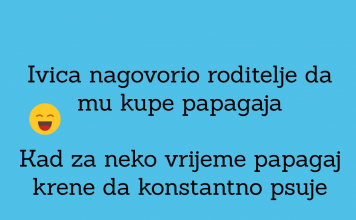 VIC DANA: Pažljiv papagaj