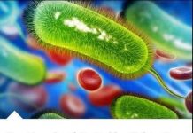 Ovo Povrće Ubija Heliko Bakteriju, Sprečava Kiselinu I Karcinom Želuca: Dovoljno Je Jesti 70 Grama Dnevno!