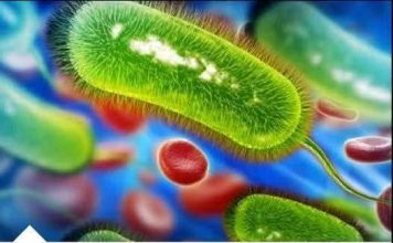 Ovo Povrće Ubija Heliko Bakteriju, Sprečava Kiselinu I Karcinom Želuca: Dovoljno Je Jesti 70 Grama Dnevno!