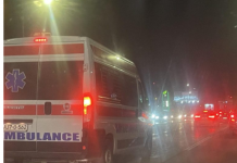 DJEVOJČICU (10) NAPAO ČOPOR PASA Lutalice je izujedale po rukama, nogama i glavi: Hitno prebačena u bolnicu…POGLEDAJTE stravičan prizor