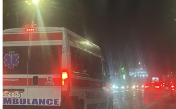 DJEVOJČICU (10) NAPAO ČOPOR PASA Lutalice je izujedale po rukama, nogama i glavi: Hitno prebačena u bolnicu…POGLEDAJTE stravičan prizor