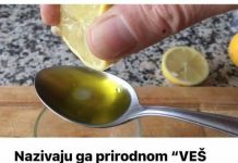 Nazivaju ga prirodnom “VEŠ MAŠINOM” za jetru: 2 kašike ovog napitka dnevno, jetra radi kao kod dvadesetogodišnjaka iholesterol je normalan!