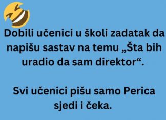 VIC: Perica i sastav