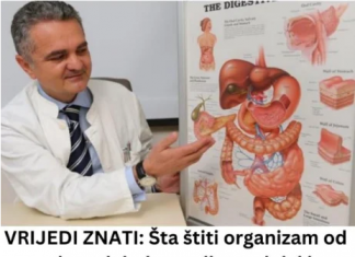 VRIJEDI ZNATI: Šta štiti organizam od raka u debelom crijevu, dojci i plućima? Donosimo listu 5 magičnih namirnica!