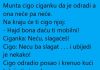 VIC DANA: Cigo i ciganka