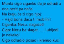 VIC DANA: Cigo i ciganka