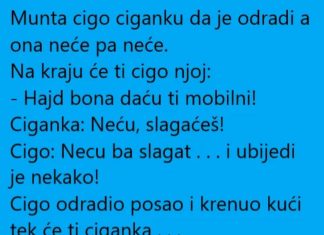 VIC DANA: Cigo i ciganka