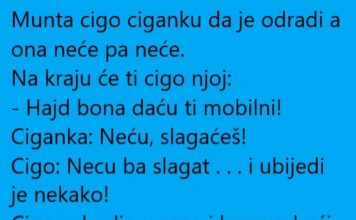 VIC DANA: Cigo i ciganka