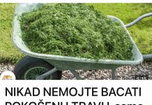 NIKAD NEMOJTE BACATI POKOŠENU TRAVU, samo uraditeovo! Bolje od 100 gnojiva