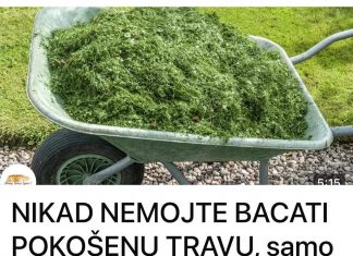 NIKAD NEMOJTE BACATI POKOŠENU TRAVU, samo uraditeovo! Bolje od 100 gnojiva