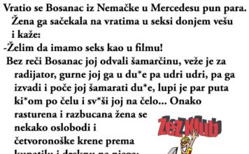 VIC DANA: Vratio se bosanac iz Njemačke u Mercedesu