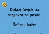 VIC DANA: Dolazi čovjek na razgovor za posao