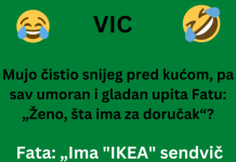 VIC DANA: Mujo čistio snijeg