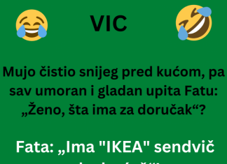 VIC DANA: Mujo čistio snijeg