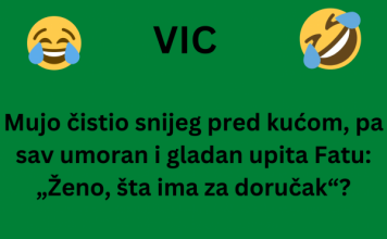 VIC DANA: Mujo čistio snijeg