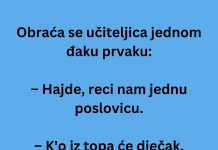 VIC DANA: Obraća se učiteljica đaku