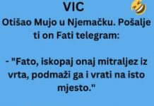 VIC DANA: Otišao Mujo u Njemačku