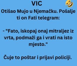 VIC DANA: Otišao Mujo u Njemačku
