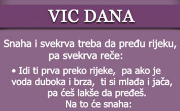 VIC DANA: Snaha i rijeka